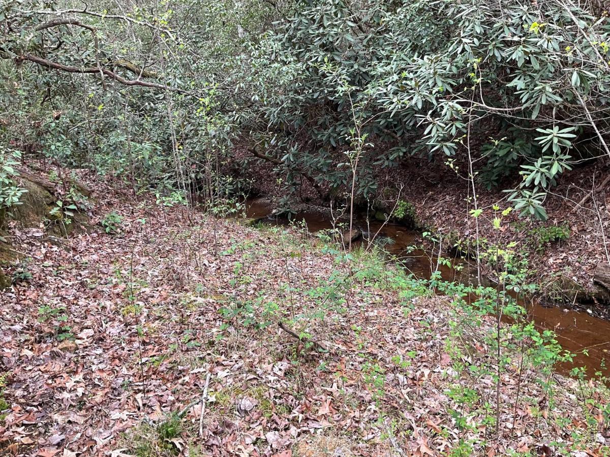 Lakemont Tallulah Gorge Retreat מראה חיצוני תמונה