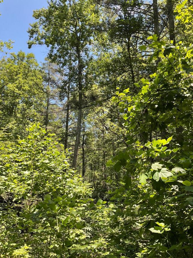 Lakemont Tallulah Gorge Retreat מראה חיצוני תמונה