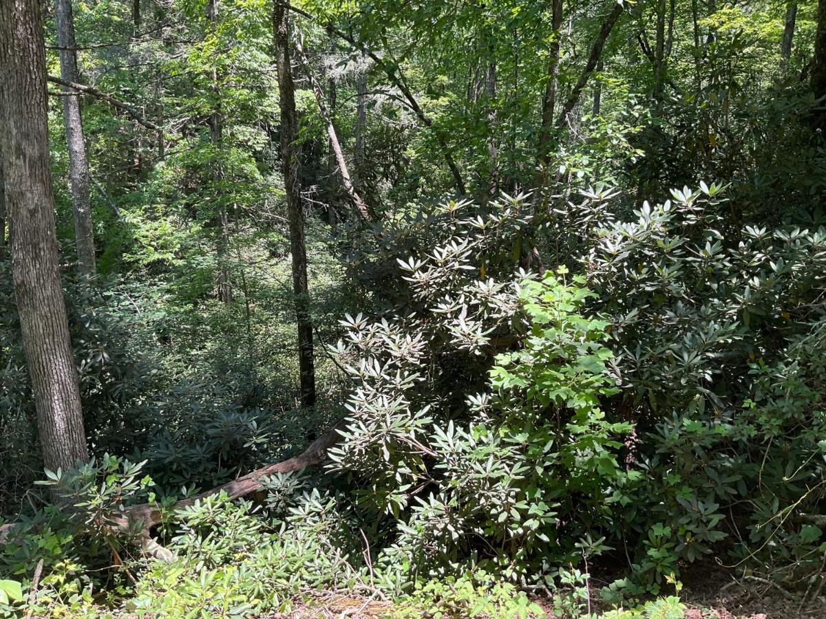 Lakemont Tallulah Gorge Retreat מראה חיצוני תמונה
