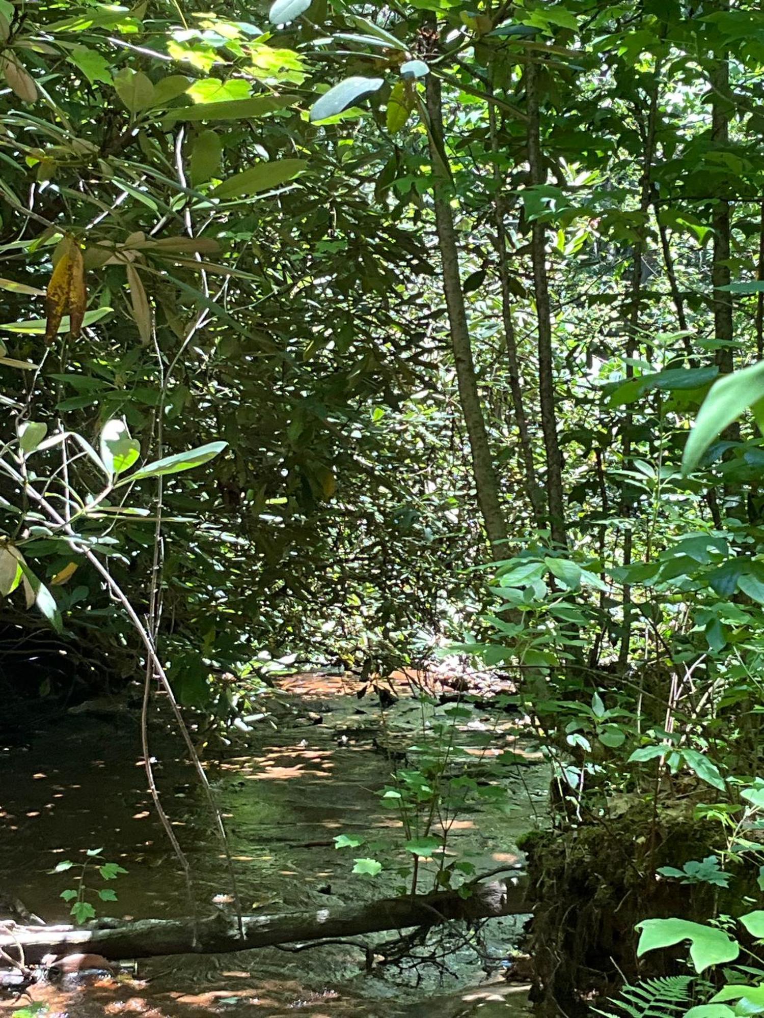 Lakemont Tallulah Gorge Retreat מראה חיצוני תמונה