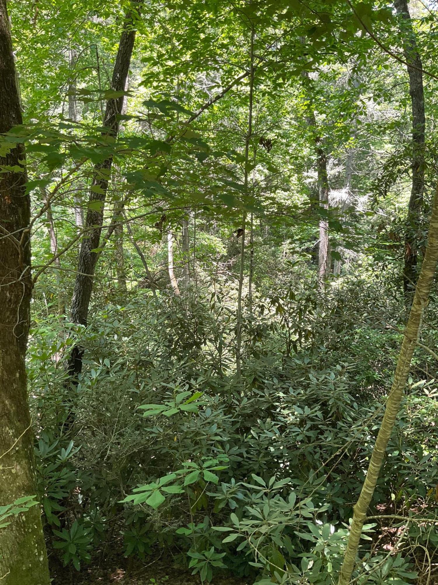 Lakemont Tallulah Gorge Retreat מראה חיצוני תמונה